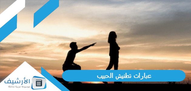 عبارات تطنيش الحبيب