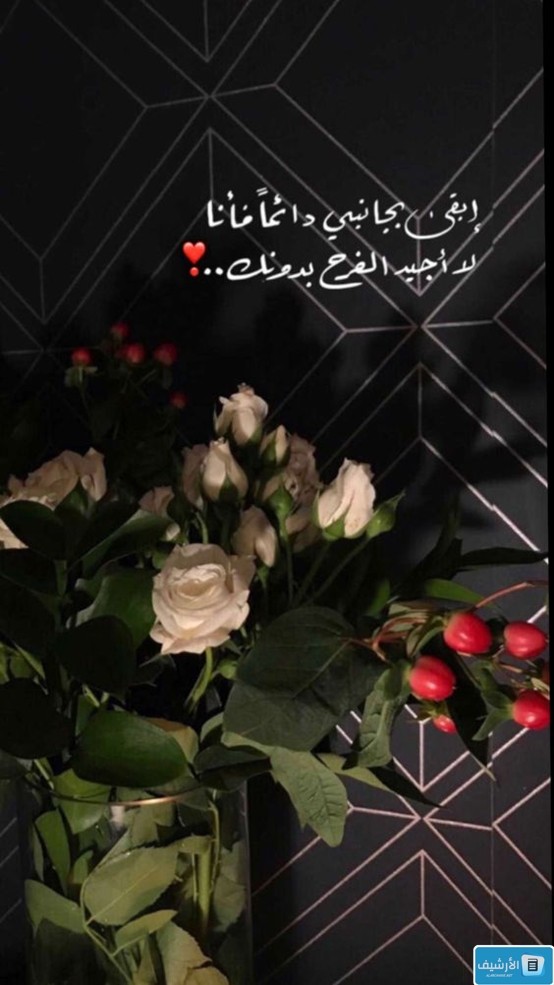  صور رومنسيه