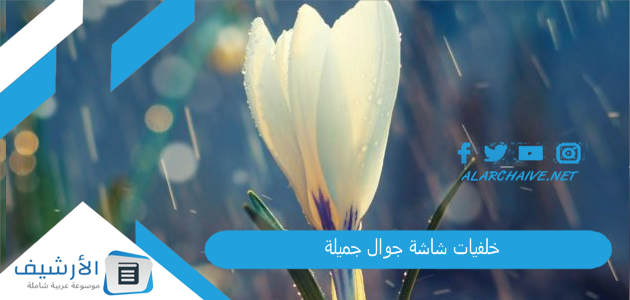 خلفيات شاشة جوال جميلة 2024 صور وقوالب خلفيات شاشة الهاتف للتحميل 1 خلفيات شاشة جوال جميلة