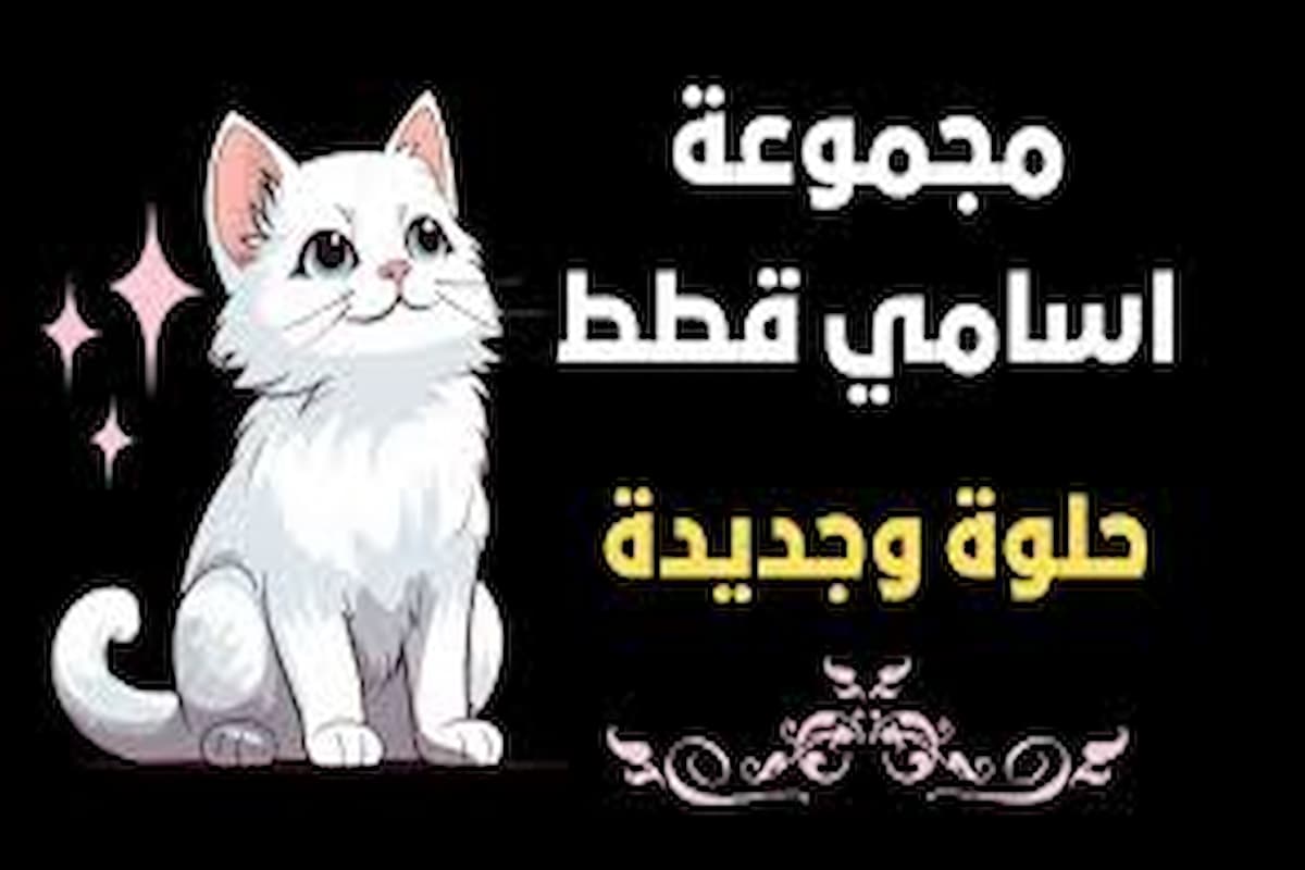 اسامي قطط بيضاء اناث 2025 اجمل اسماء بنات 1 اسامي قطط بيضاء اناث