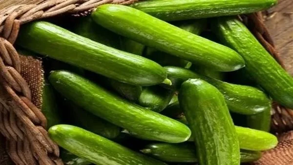 تفسير رؤية الخيار في المنام للمطلقة ابن سيرين 1 تفسير رؤية الخيار في المنام للمطلقة