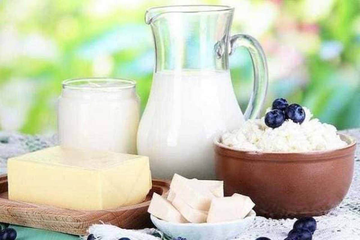 دراسة جدوى مشروع منتجات الألبان