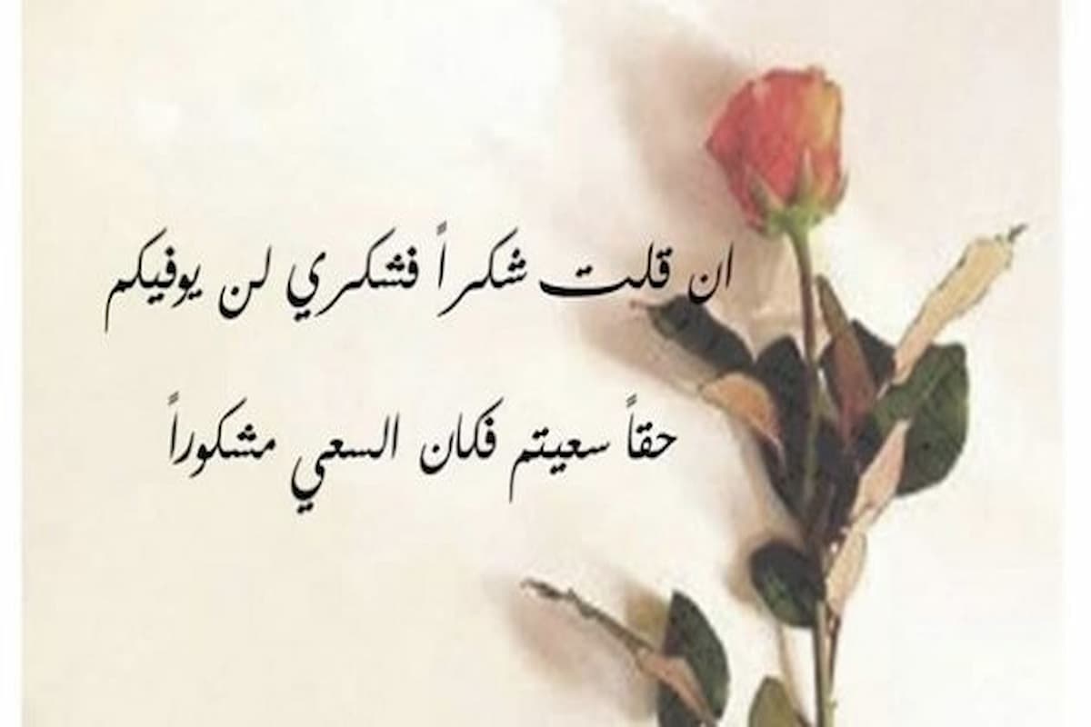 كلمات شكر رائعة