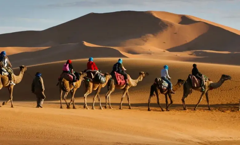 ما هو أصل عائلة الكندري وش يرجعون وأشهر شخصيات عائلة الكندري 1 أصل عائلة الكندري