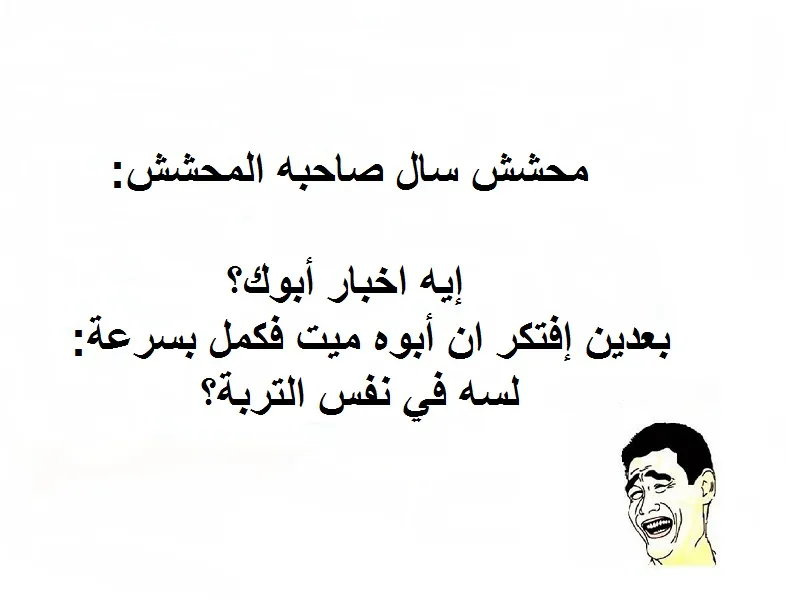نكت مضحكة محششين مصرية 2025 جديدة مميزة 1 نكت مضحكة محششين مصرية